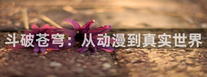 禁漫天堂怎么下载?：斗破苍穹：从动漫到真实世界