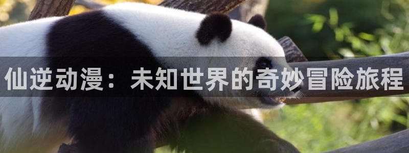 jmcomic 禁漫天堂：仙逆动漫：未知世界的奇妙冒险旅程