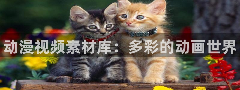 禁漫天堂好卡：动漫视频素材库：多彩的动画世界