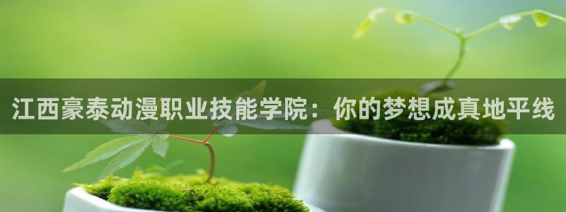 禁漫天堂域名：江西豪泰动漫职业技能学院：你的梦想成真地平线