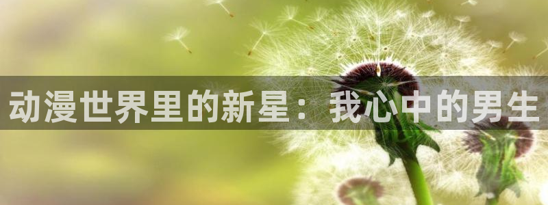 禁漫天堂下：动漫世界里的新星：我心中的男生