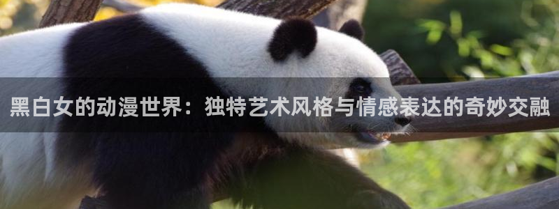 禁漫天堂a漫网页版：黑白女的动漫世界：独特艺术风格与情感表达的奇妙交融